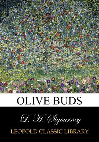 Olive buds