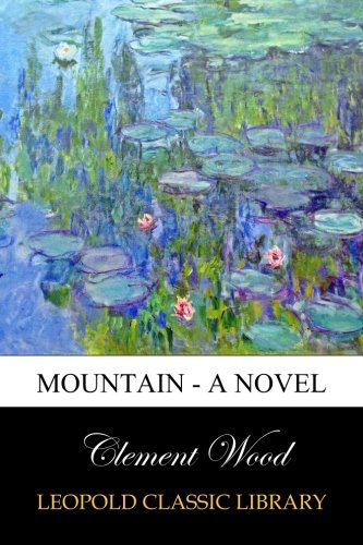 Mountain - A Novel