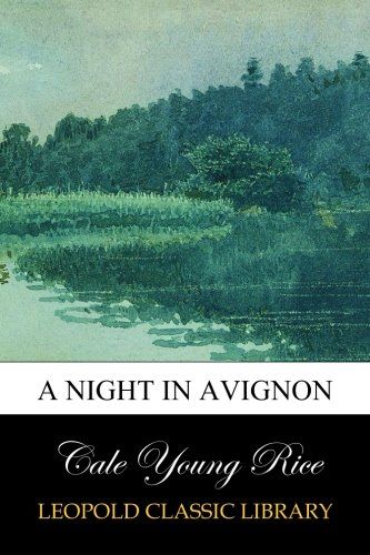 A night in Avignon