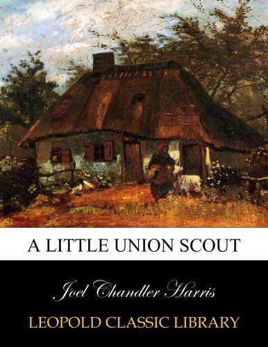 A little Union scout