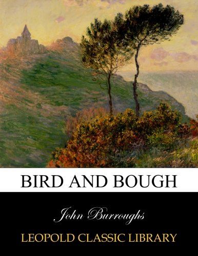 Bird and bough
