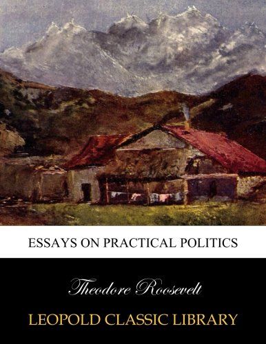 Essays on practical politics