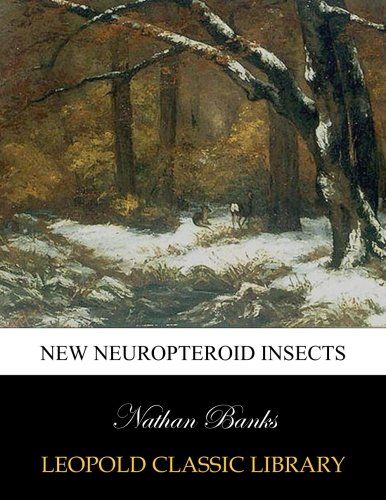 New Neuropteroid insects