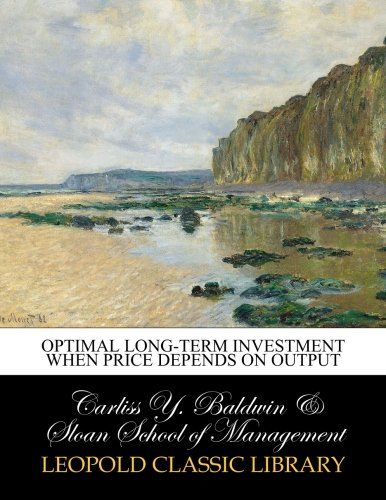 Optimal long-term investment when price depends on output
