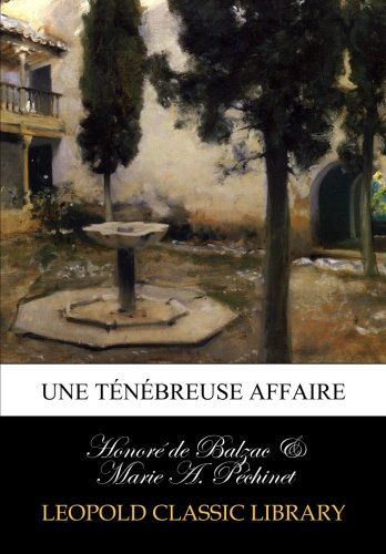 Une ténébreuse affaire (French Edition)