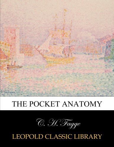 The pocket anatomy