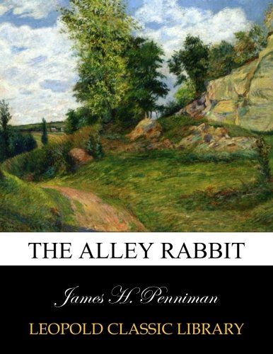 The alley rabbit