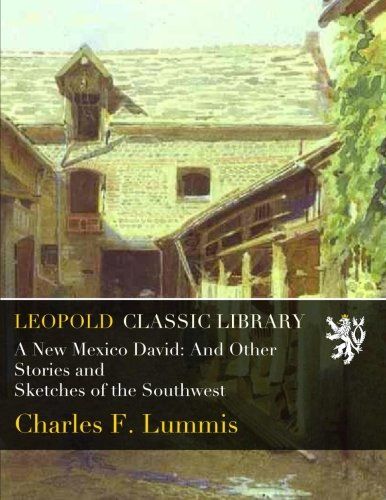 A New Mexico David: And Other Stories and Sketches of the Southwest