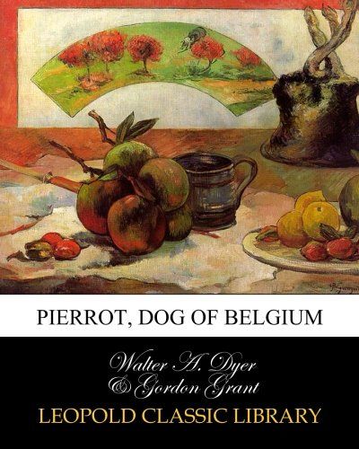 Pierrot, dog of Belgium